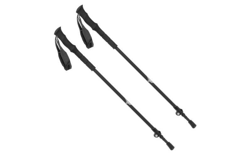 ভারতে শীতকালীন ট্রেকিংয়ের প্রস্তুতি: একটি সম্পূর্ণ গাইড 6 ট্রেকিং পোল