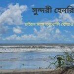 হেনরি দ্বীপ