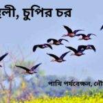পূর্বস্থলী বা চুপির চর পাখিরালয়