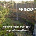 সেরা ১০টি মধ্যপ্রদেশের জাতীয় উদ্যান ভ্রমণ কিভাবে, কখন যাবেন