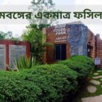 আমখই ফসিল পার্ক