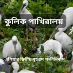 কুলিক পাখিরালয়