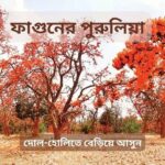হোলিতে বেড়ানোর জায়গা - পুরুলিয়া