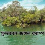 সুন্দরবন জঙ্গল ক্যাম্প: আবিষ্কার করুন অদ্ভুত ম্যানগ্রোভ ইকোসিস্টেম