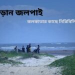 বগুড়ান জলপাই, নিরিবিলি সৈকত: offbeat sea beach near kolkata