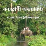 পশ্চিমবঙ্গের বন্যপ্রাণী অভয়ারণ্য ও সেরা ইকো ট্যুরিজম গন্তব্য