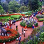 কলকাতায় উদ্যান ও পার্ক: সেরা 9 টি - Gardens and Parks in Kolkata