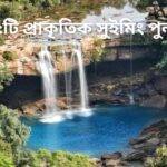 সেরা 5টি প্রাকৃতিক সুইমিং পুল