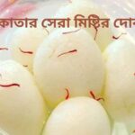 কলকাতার সেরা মিষ্টির দোকান: বিখ্যাত ১২ টি ঐতিহ্যবাহী প্রতিষ্ঠানের তালিকা