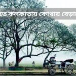 শীতে কলকাতায় কোথায় বেড়াবেন