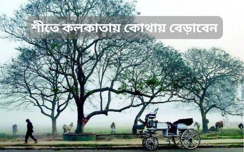 শীতে কলকাতায় কোথায় বেড়াবেন