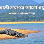 একক ভ্রমণের আদর্শ গন্তব্য