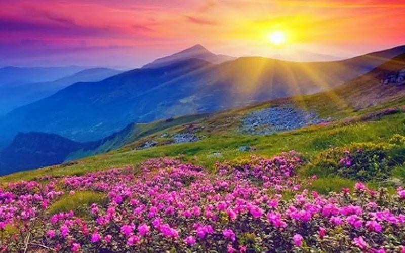 ভ্যালি অফ ফ্লাওয়ার্স