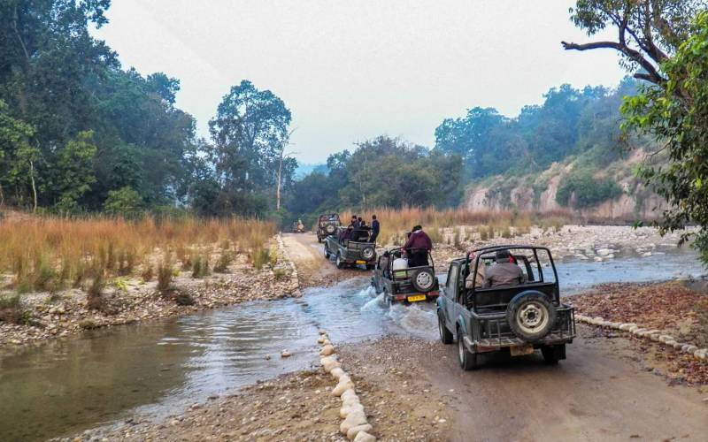 জিম করবেট ন্যাশনাল পার্ক