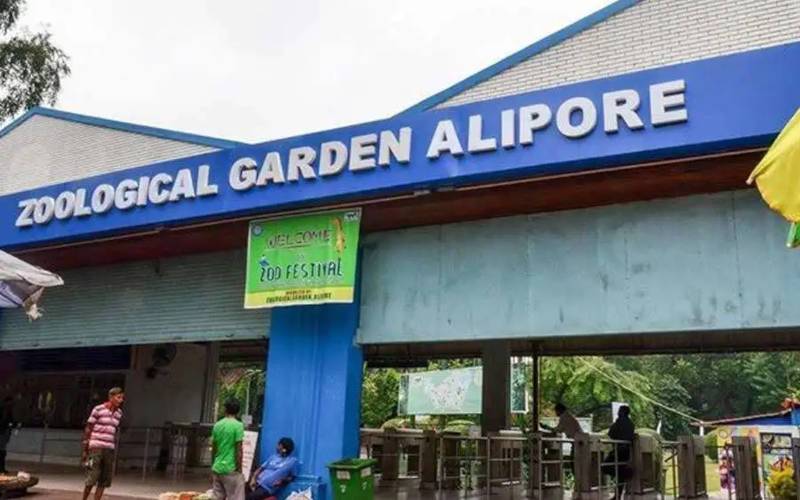 আলিপুর চিড়িয়াখানা