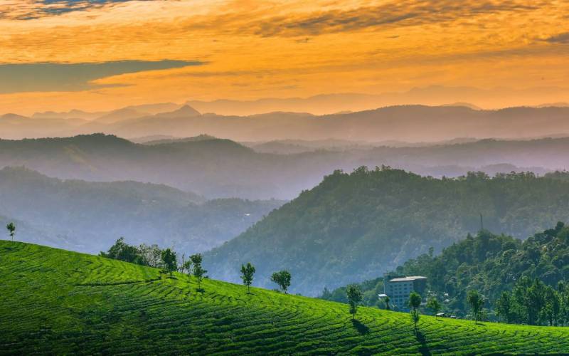 ডিসেম্বরে ভারতে ঘোরার সেরা ১০টি জায়গা — পূর্ণাঙ্গ ভ্রমণ গাইড 5 মুন্নার, কেরালা