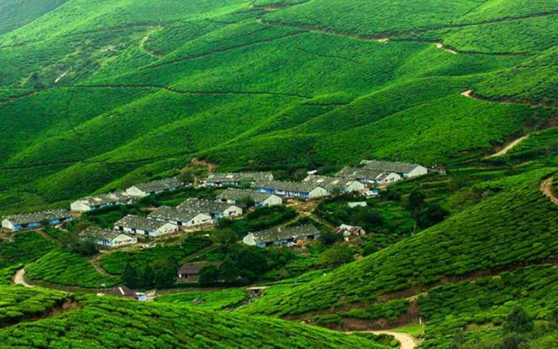 কলুক্কুমালাই চা বাগান