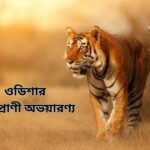 ওডিশার বন্যপ্রাণী অভয়ারণ্য