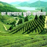চা বাগানে ছুটি কাটান
