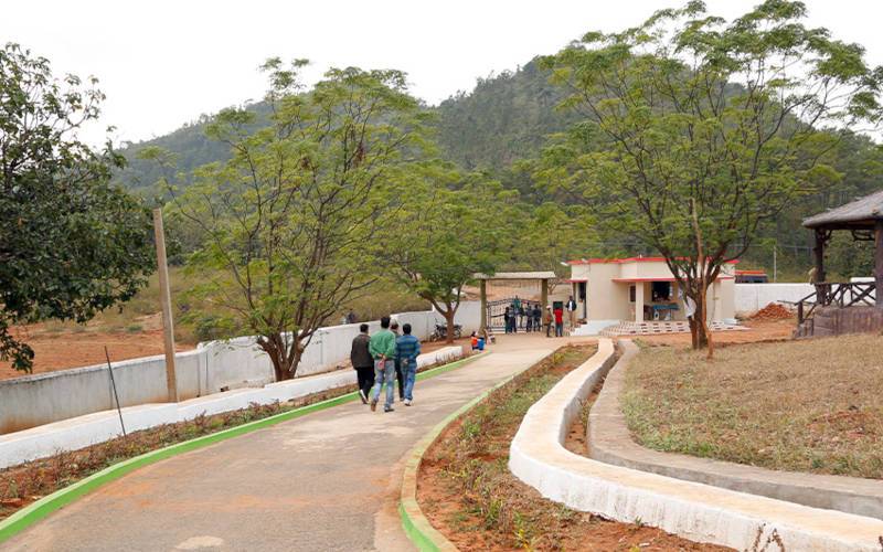 দারিংবাড়ি