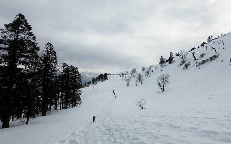 কেদারকন্ঠ ট্রেক