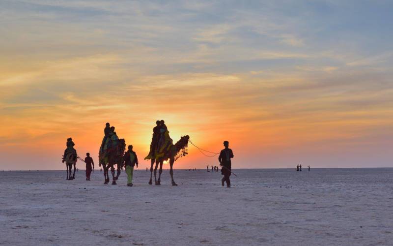 ডিসেম্বরে ভারতে ঘোরার সেরা ১০টি জায়গা — পূর্ণাঙ্গ ভ্রমণ গাইড 7 রণ উৎসব, কচ্ছ