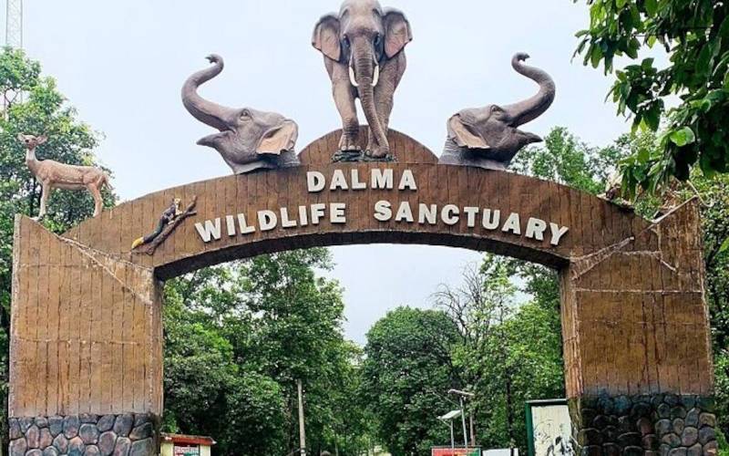 দলমা পাহাড় হাতি করিডোর ভ্রমণ