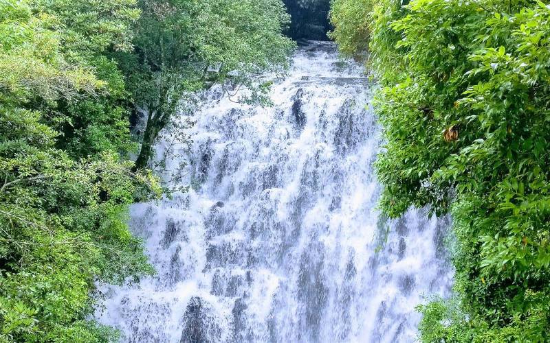 এলিফ্যান্ট ফলস