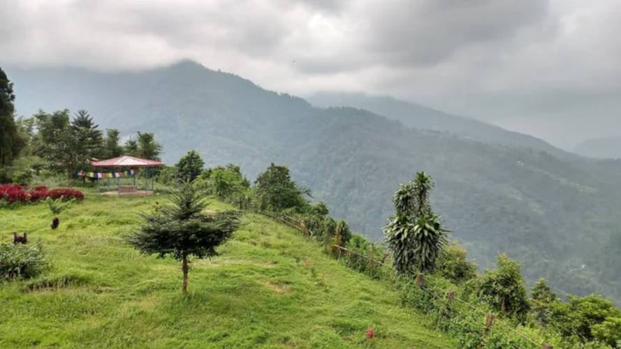 দলগাঁও