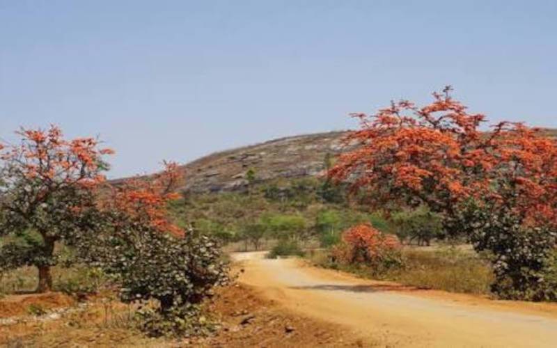মৈনাক পাহাড় বা বান্দোয়ান