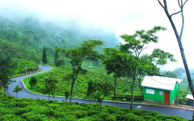 অফবিট ডেস্টিনেশন